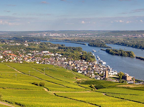 Escale Rudesheim (Allemagne)